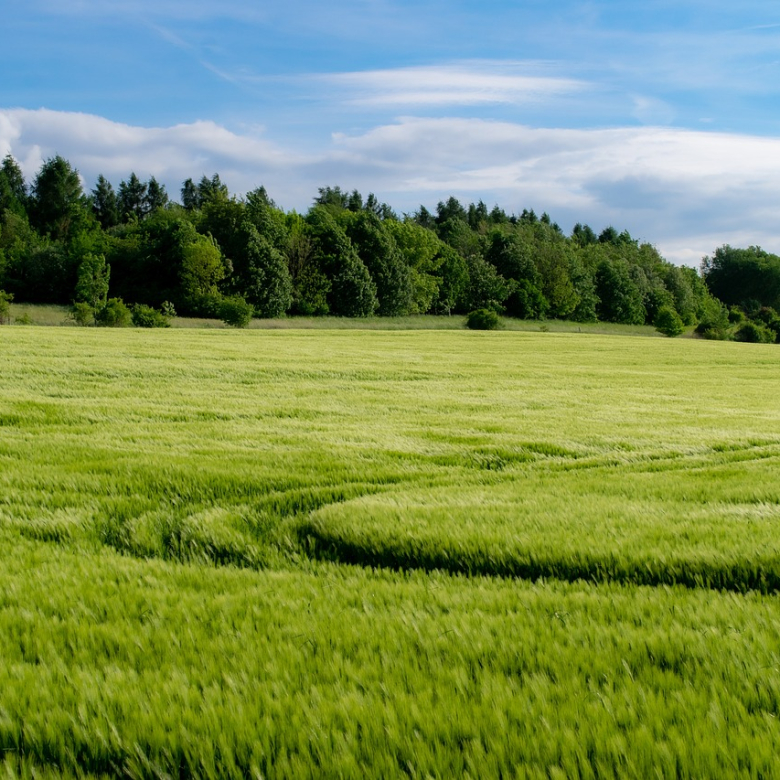 Terrenos AgrÍcolas