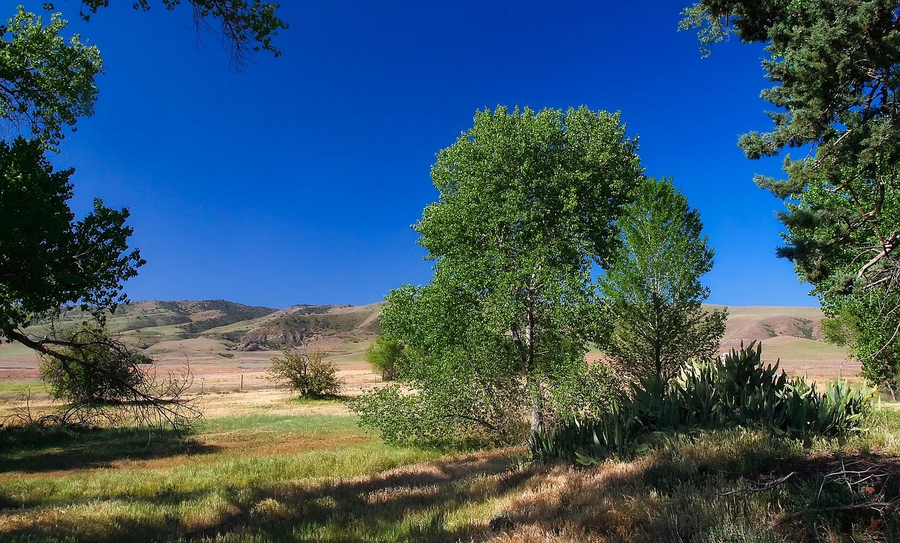 Terrenos-Casas de Campo